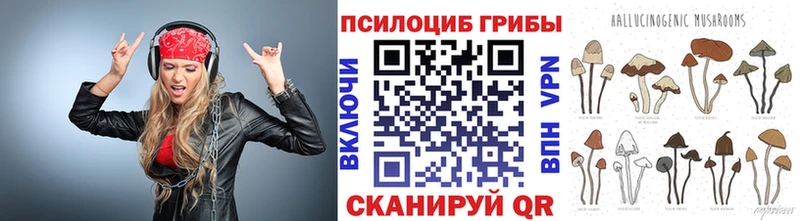 цены наркотик Лакинск Псилоцибиновые грибы Magic Shrooms